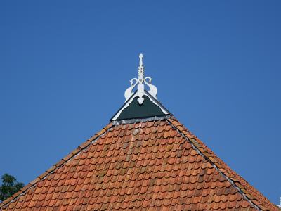 DSC00613