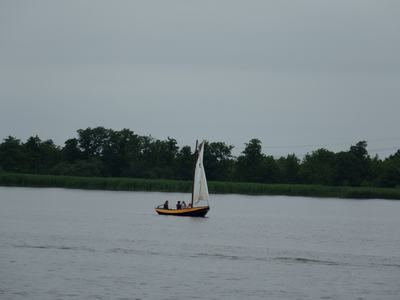 DSC03351