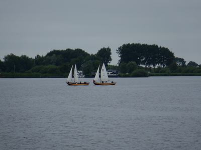 DSC03384