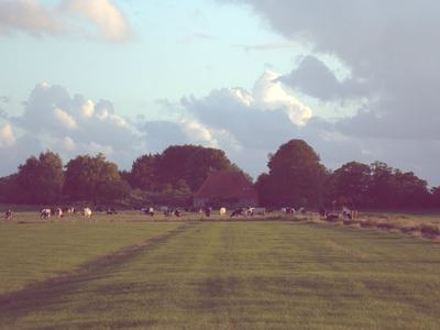 DSC04234