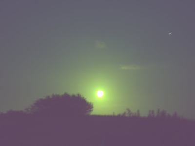 DSC04260
